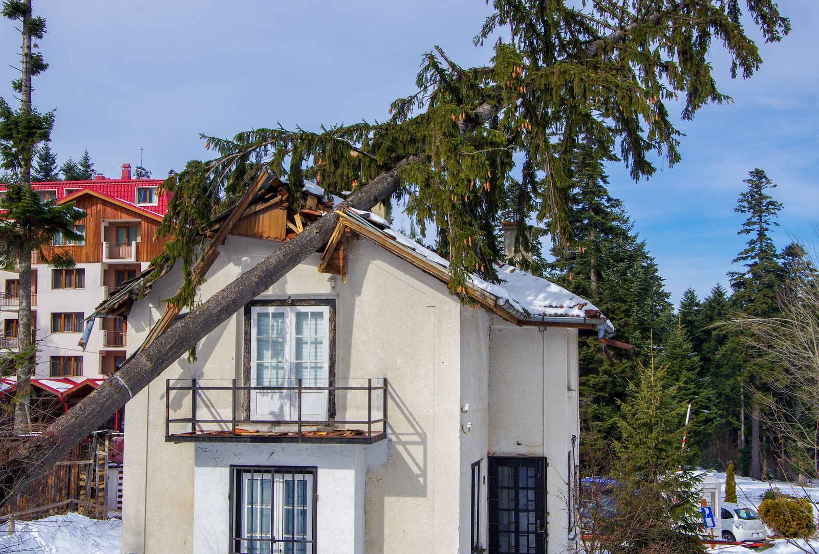 Ein umgestürzter Baum ist nach einem Sturm auf ein Hausdach gefallen und hat es beschädigt